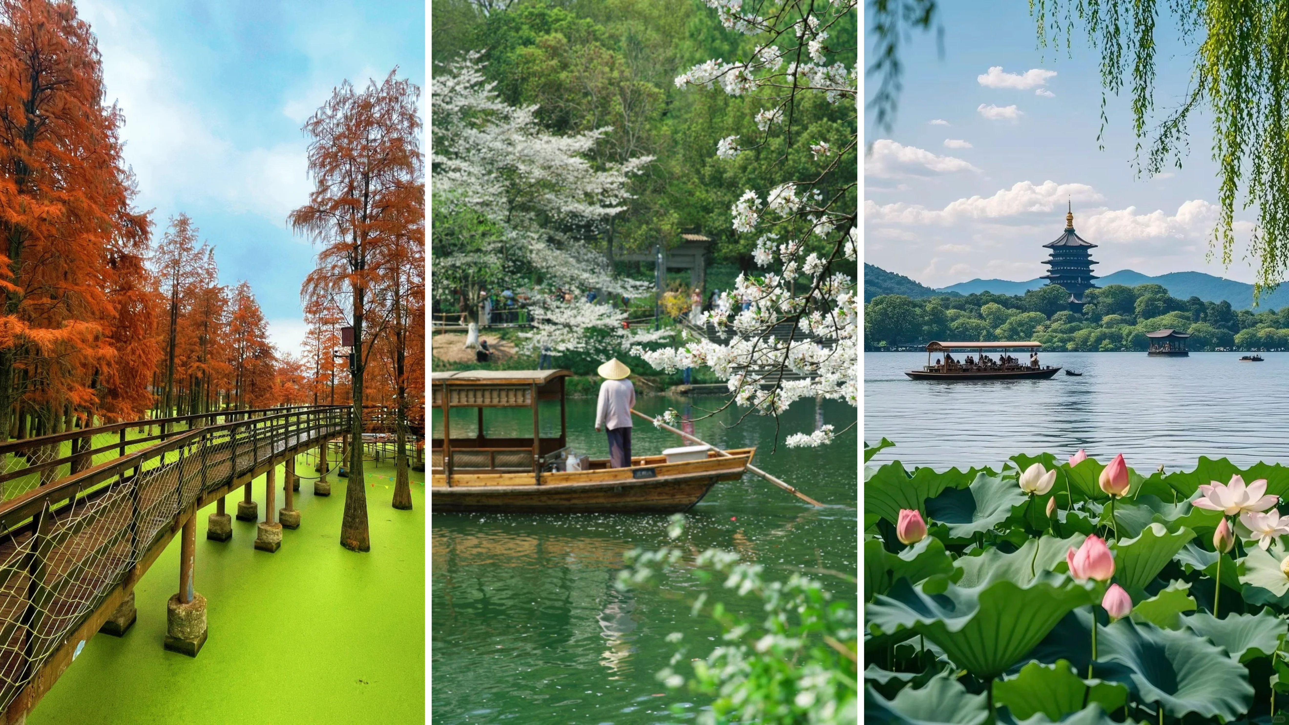 Ô TRẤN – HÀNG CHÂU - ĐẦM THANH SƠN