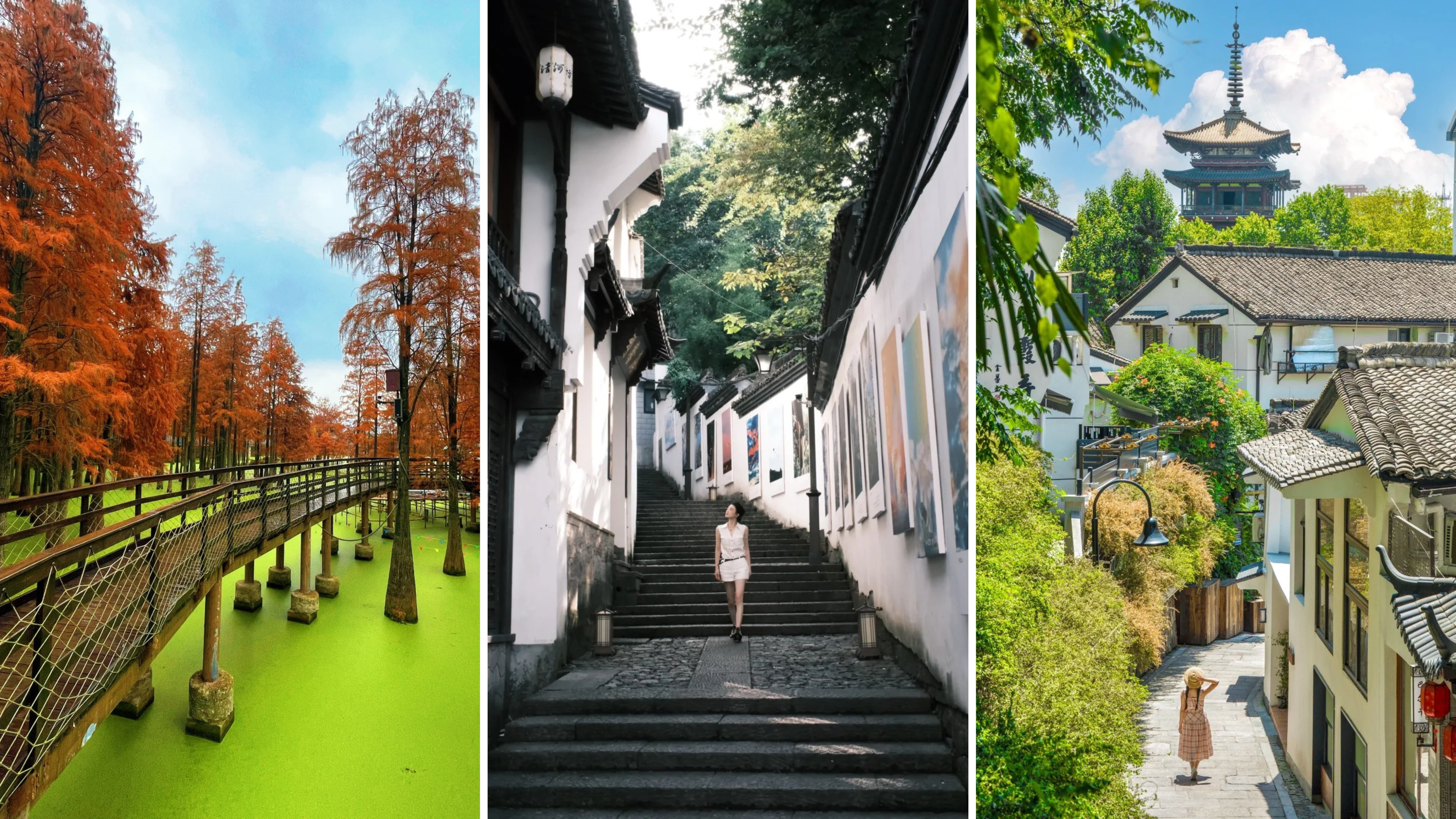 Ô TRẤN – ĐẦM THANH SƠN - HÀNG CHÂU